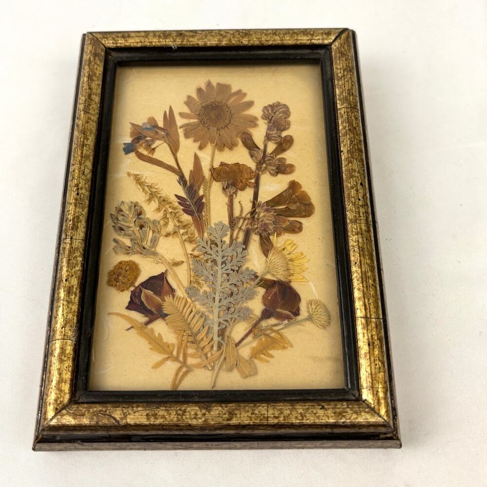 Vintage Signed Dried Pressed Flower Artwork in Glass Frame Botanical‎ Decor 80's